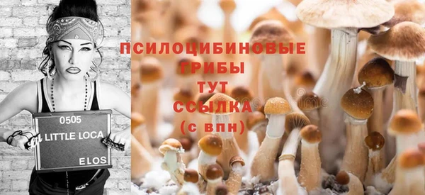2c-b Балахна