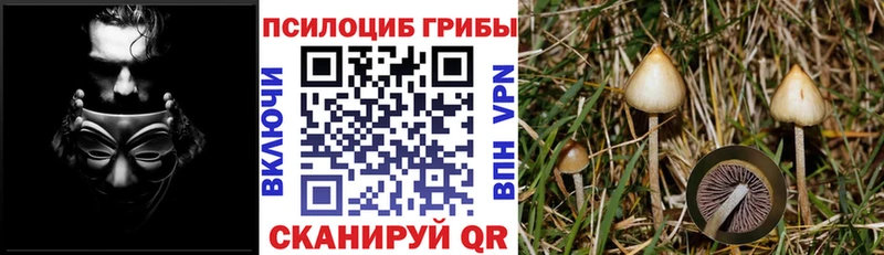 Псилоцибиновые грибы Magic Shrooms  купить  цена  Лыткарино 