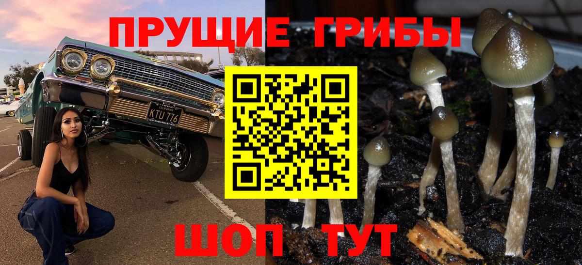 Галлюциногенные грибы MAGIC MUSHROOMS  Вход с VPN  Лыткарино 
